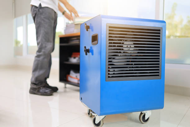Best Airborne Mold Testing  in South Fallsburg, NY