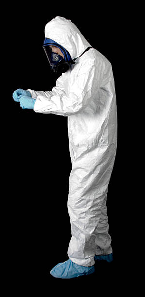 Trusted South Fallsburg, NY Mold Removal Experts